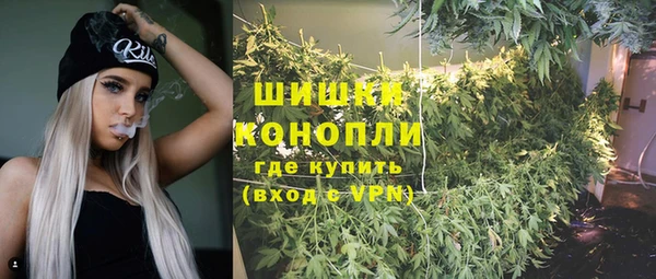 каннабис Богданович