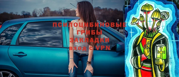 каннабис Богданович