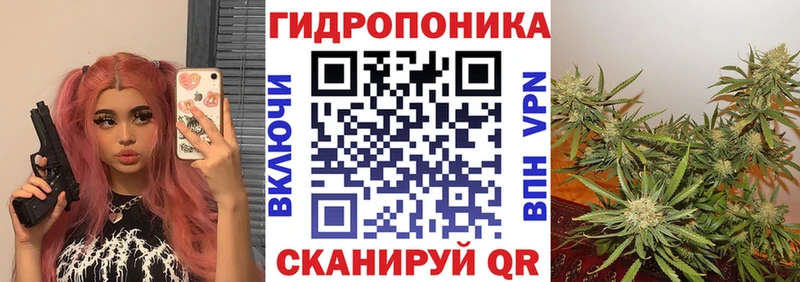 хочу наркоту  Тихвин  Шишки марихуана план 